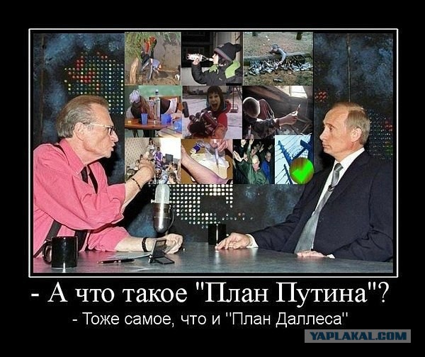 Подростковый деградант
