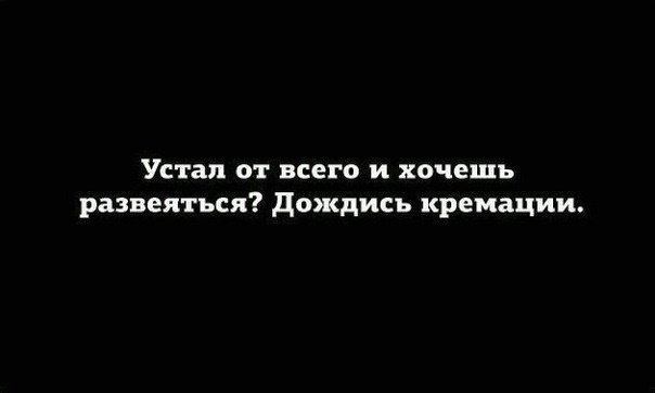 Подборочка трэша на понедельник 19-08