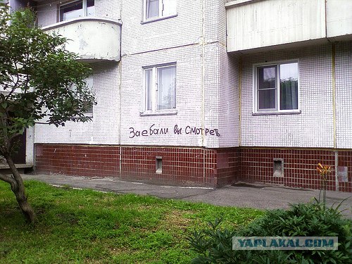 Конкурс "РАБ"