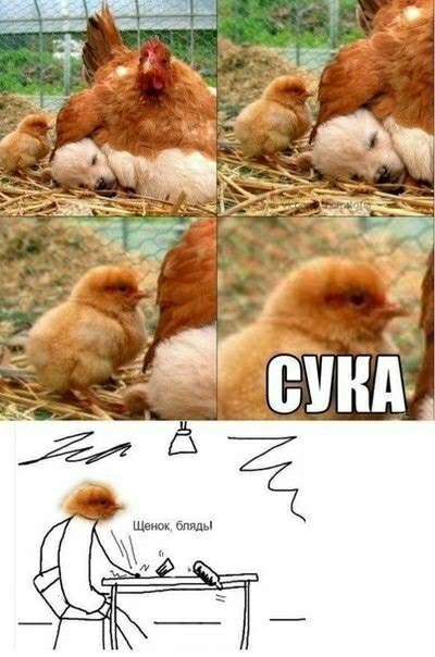 Бредзона