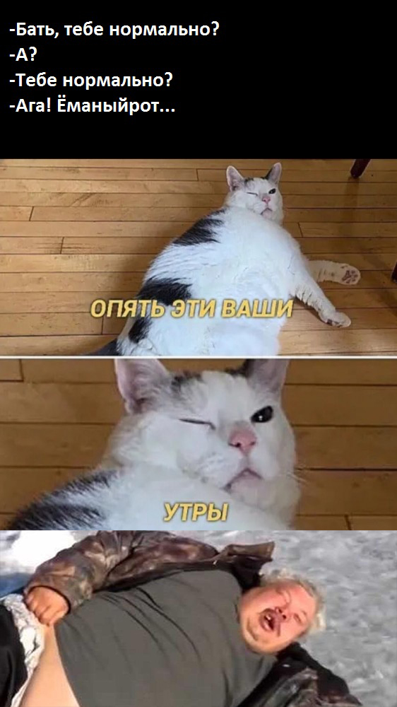 Ура! Мне подключили интенет! (БАЯНЫ)