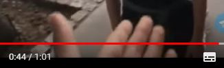 Терпилы какие-то. Или у них так принято?