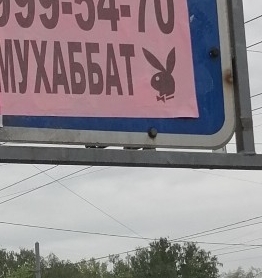 Мужчины, этот пост для вас или тридцать и одна причина, почему мы вас обожаем