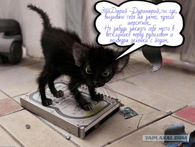 Драчун