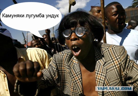 Афроботанический бунт.Фотожаба