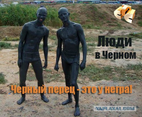 Фотожаба: ТВ программа