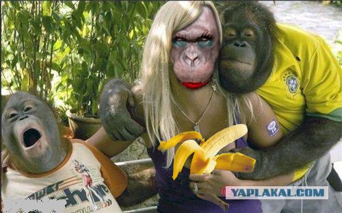 Фотожаба: Всю жизнь за решеткой