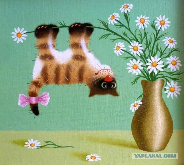 Котовторник же!