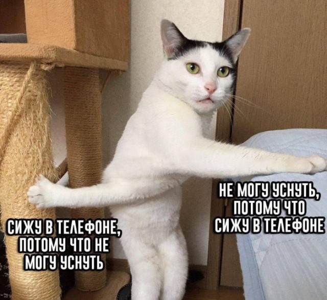 Первый в мире гаджет для действительно комфортного чтения комиксов, учебников и любых других книг с цветными картинками