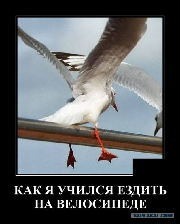Фотки и картинки с текстом: юморные и красивые, забавные и милые 02.07.21