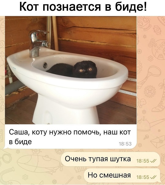 35 картинок разных 26.08.2021
