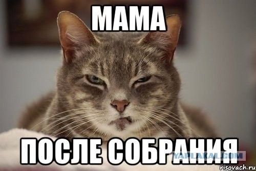 Картинки и мемы для настроения 23.11.2021