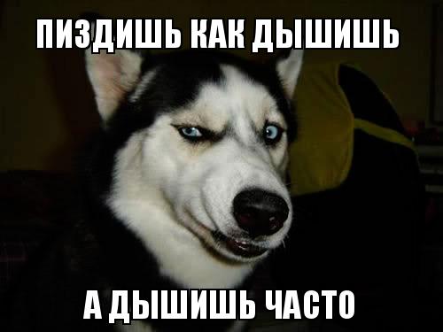 ВС отказался рассекретить архивные данные сотрудников НКВД