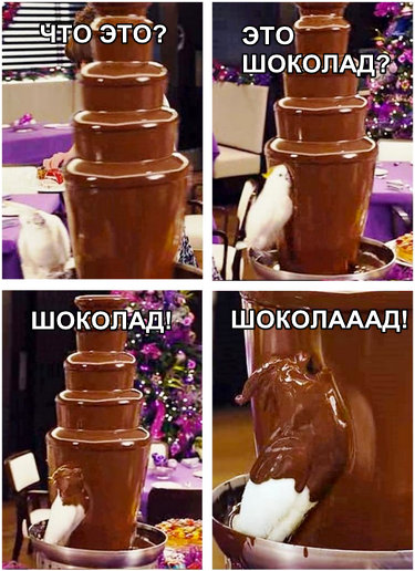 Ух, какие красавицы!