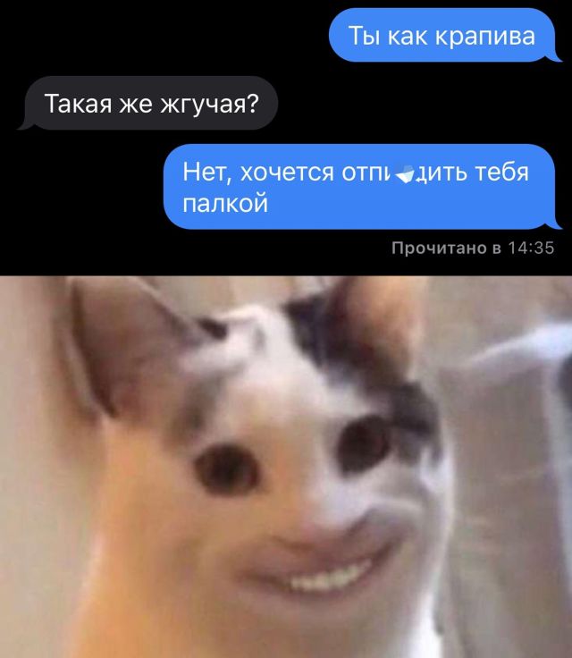 Так себе картинки 12.02.22