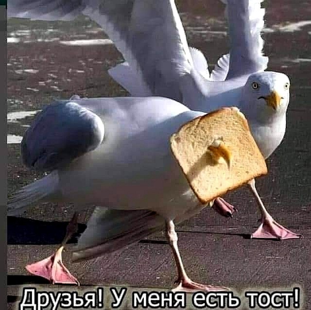 Понедельник начинается с деградации...
