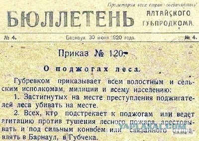 Кто поджигает леса в России?