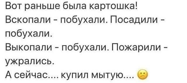 Аморалка Лайт