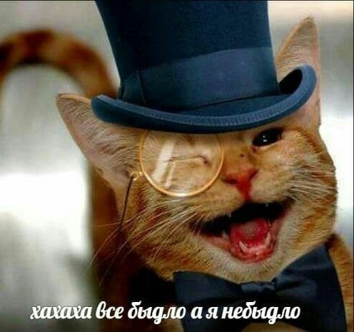 Деревенская жизнь