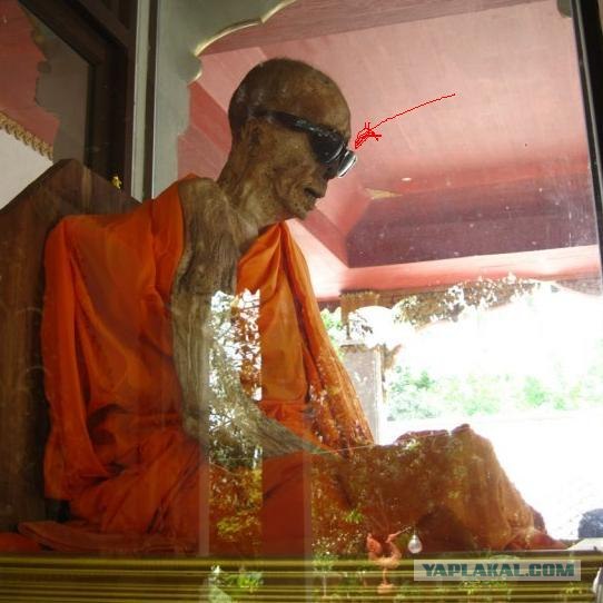 Такой разный остров Самуи