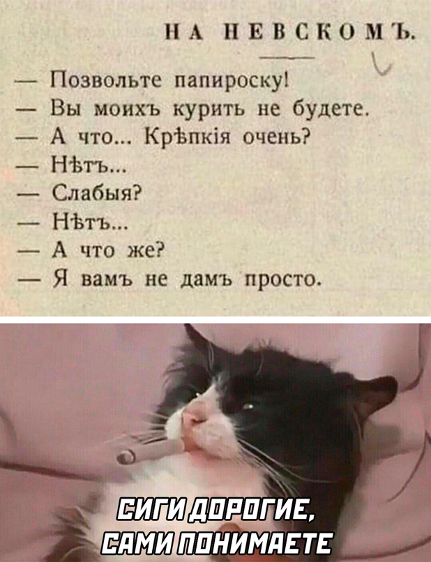 Картинки и мемы для настроения. Выходные близко...