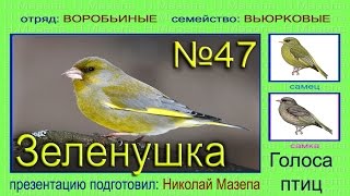 Переделываем паяльник...