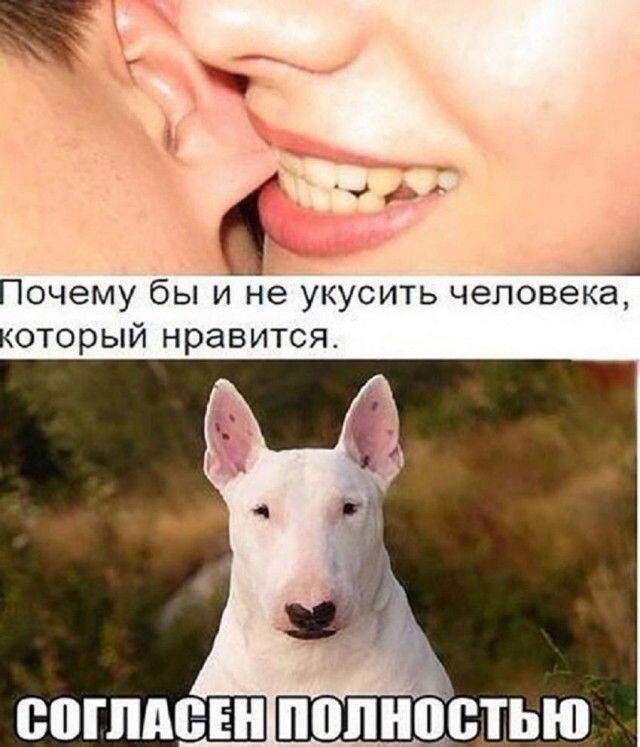 Юмор в картинках и без
