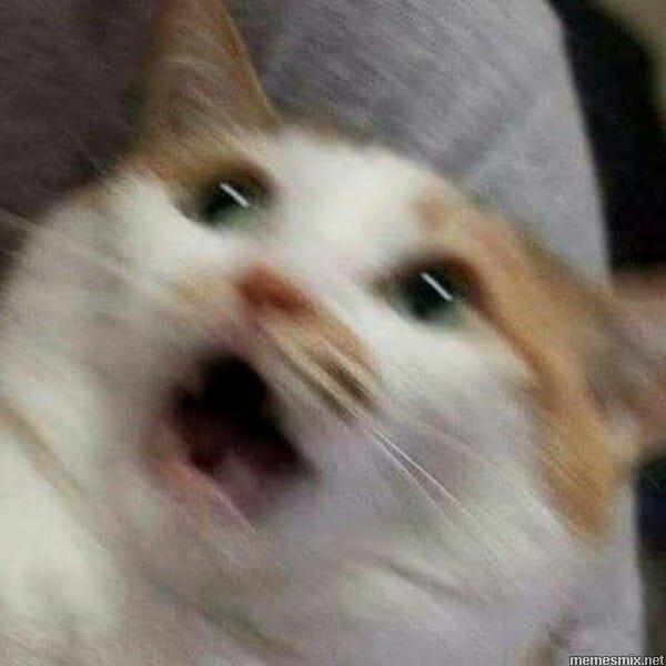 Этого.Не.Можед.Быдь