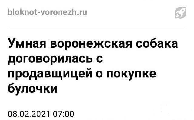 Забавные шутки и картинки из этих ваших интернетов 22.12.2022