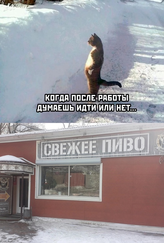 Картинки и мемы. Выходные близко...