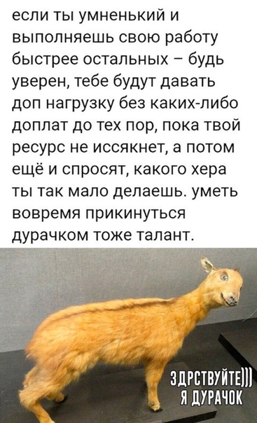 Правда жизни