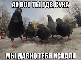 Штош, а вот и виновный нашёлся