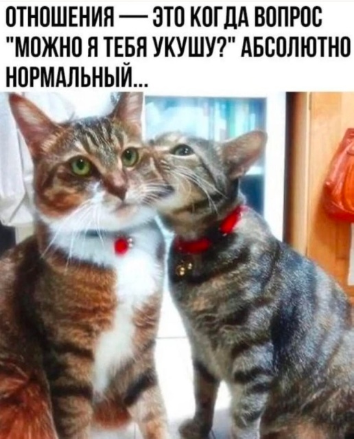 Так себе картинки 27.08.23