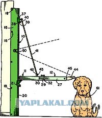 Самые нелепые открытия