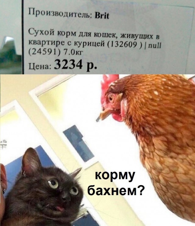 Отряд быстрого деградирования