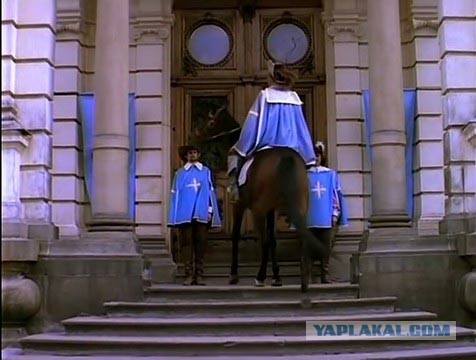 Кемеровский романтик, прискакавший в квартиру к жене на белом коне, отправлен под арест — его арестовали на одни сутки за мелкое хулиганство