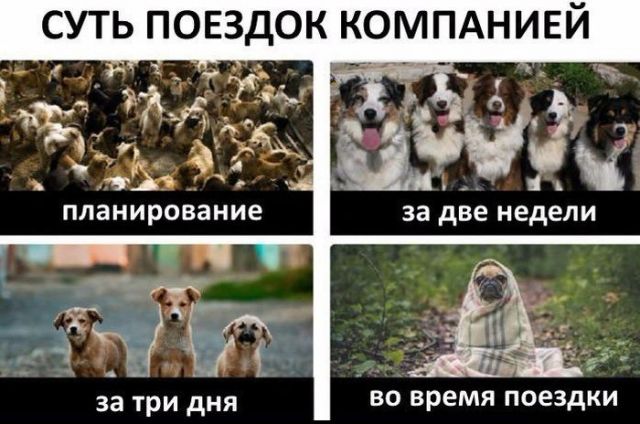 Картинки и буквы 20.06.2020