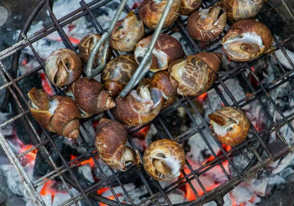 Супруги создали ферму с улитками, мясо которых потребляют в дорогих ресторанах