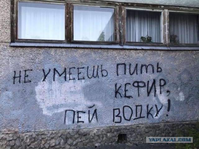 Веселые картинки к пятнице (29.11)