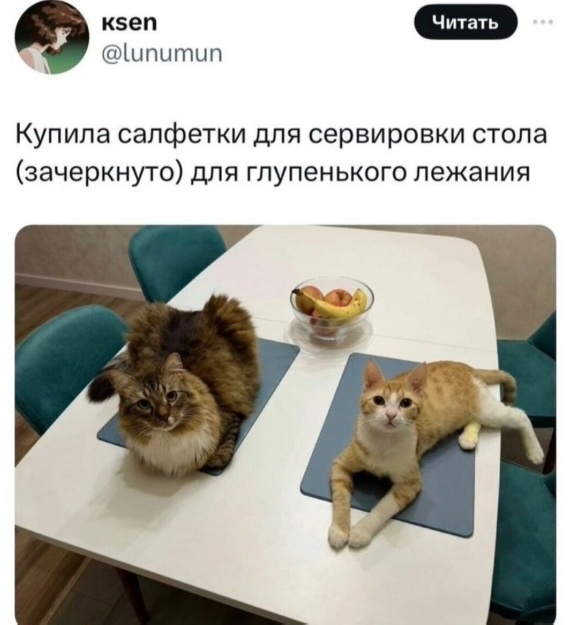 Так себе картинки 06.12.24
