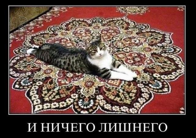 Так себе картинки 01.05.25