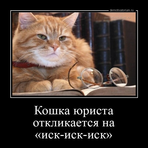 Чё там сегодня по ЯПу?