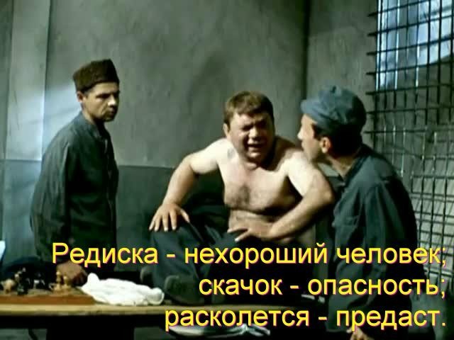 Подружки невесты и друзья жениха.