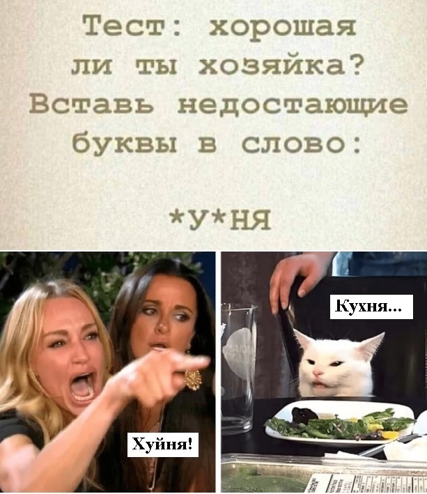 Знаменитый кот