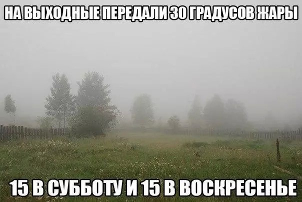 Нуштош 27.08.2025. Когнитивный декаданс (s4e8)