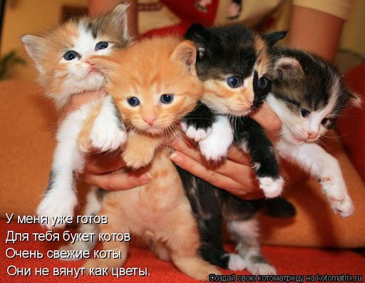Коллеги, я сегодня Вам принес...
