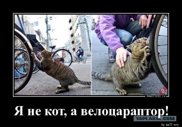 Заводится с одного носка