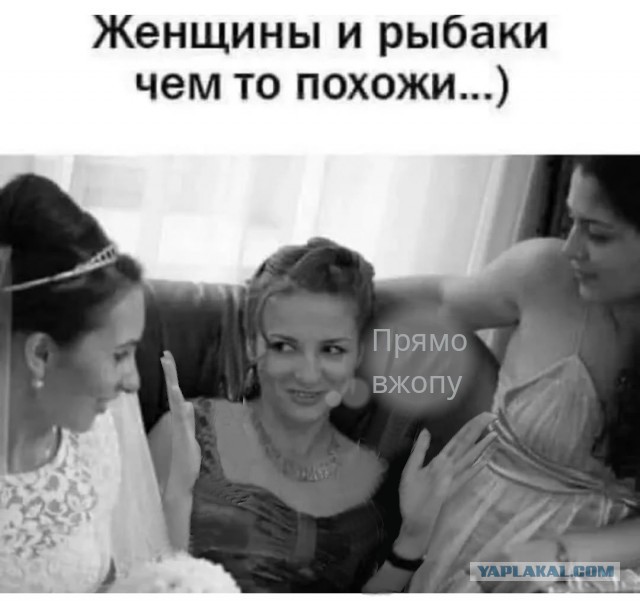 А ты пойдёшь на рыбалку в эти выходные, усернейм?