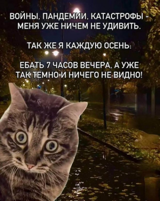 Картинки для деградации 68 (разной степени свежести)