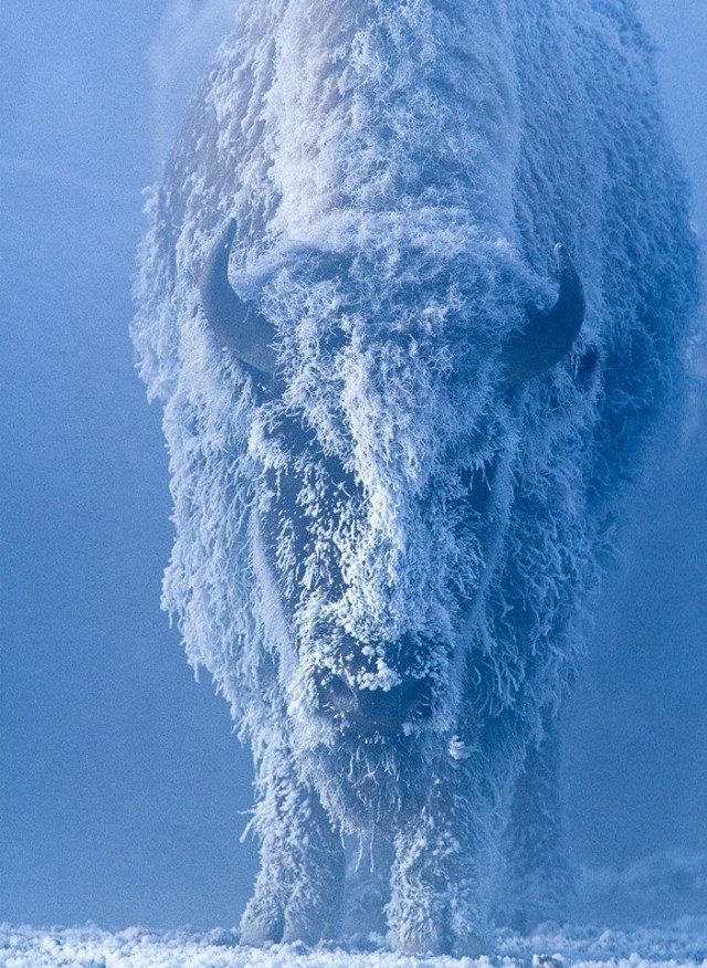 20 фото для спокойствия